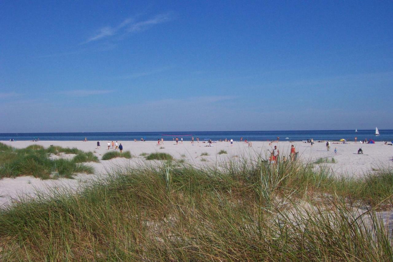 Dueodde Strand Camping Hotell Exteriör bild