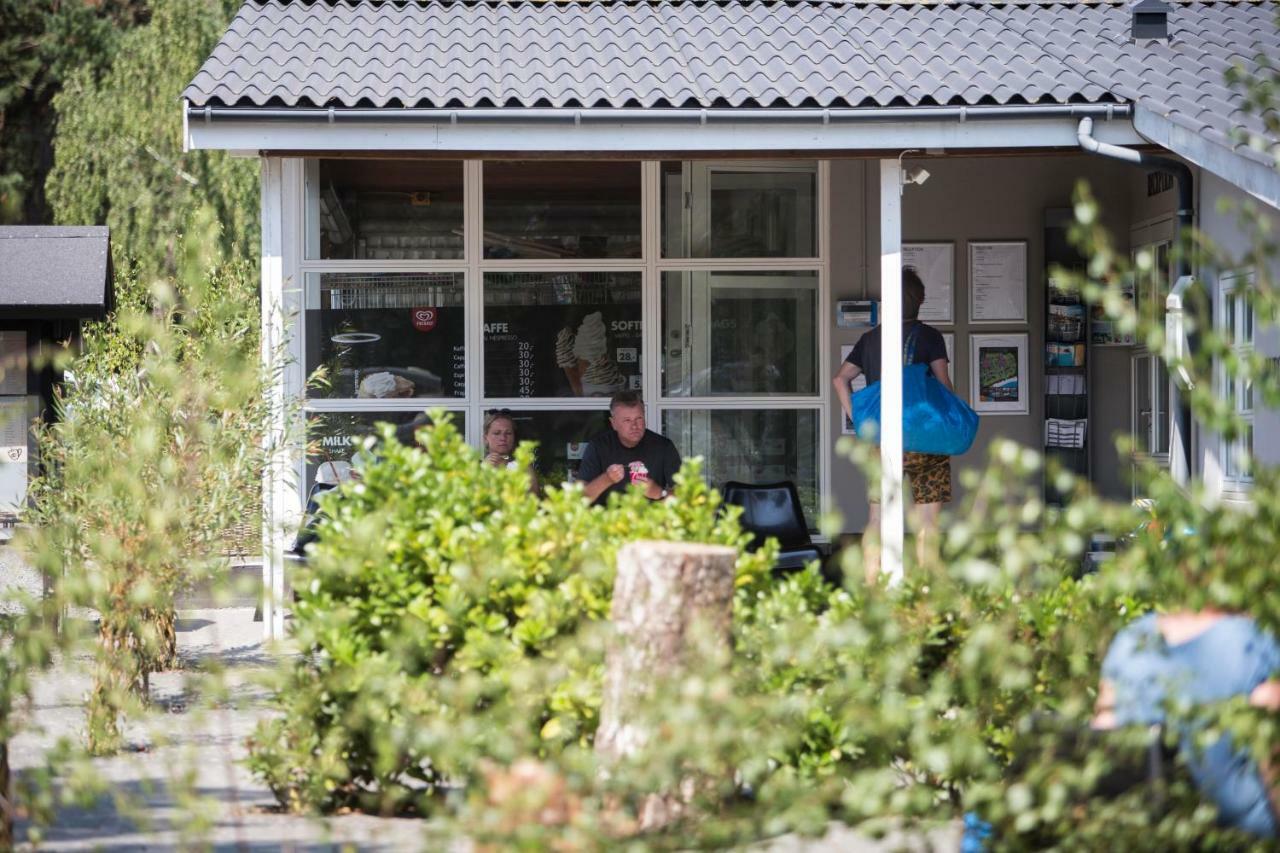 Dueodde Strand Camping Exteriör bild