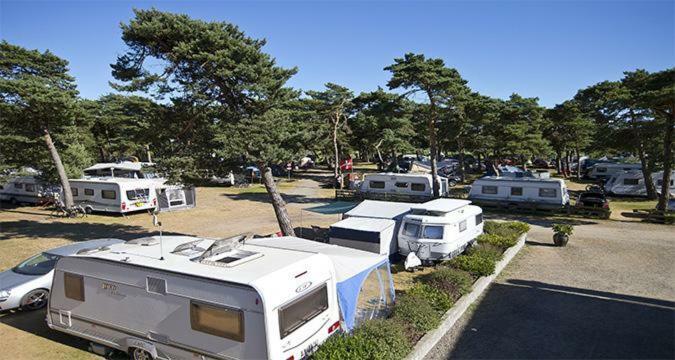 Dueodde Strand Camping Hotell Exteriör bild