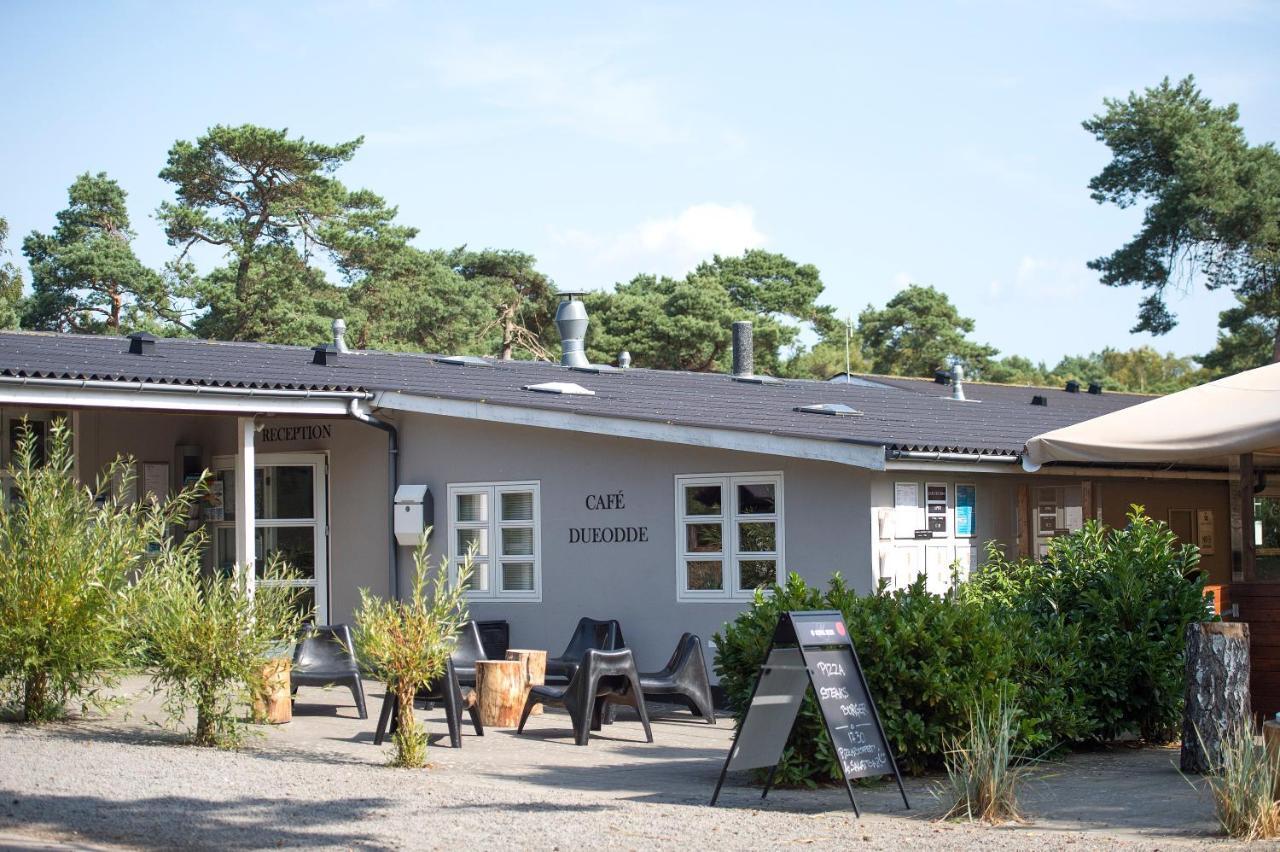 Dueodde Strand Camping Exteriör bild