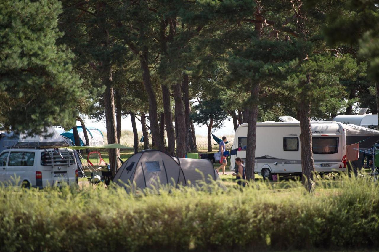 Dueodde Strand Camping Hotell Exteriör bild