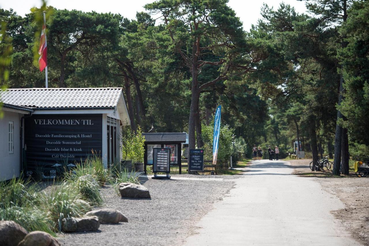 Dueodde Strand Camping Exteriör bild